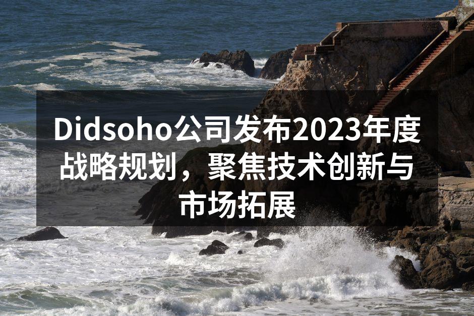 Didsoho公司发布2023年度战略规