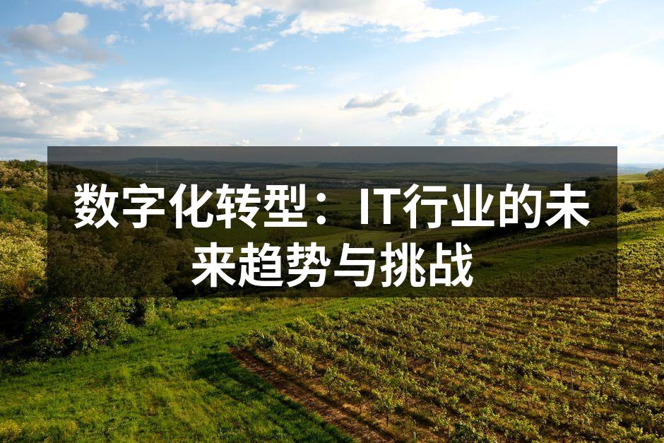 数字化转型：IT行业的未来趋势与挑战