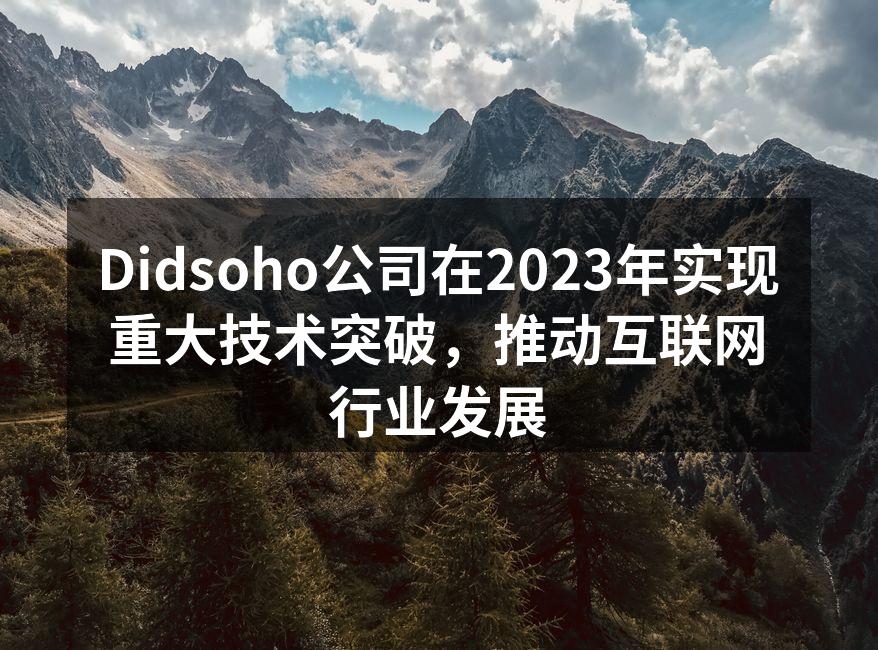 Didsoho公司在2023年实现重大技