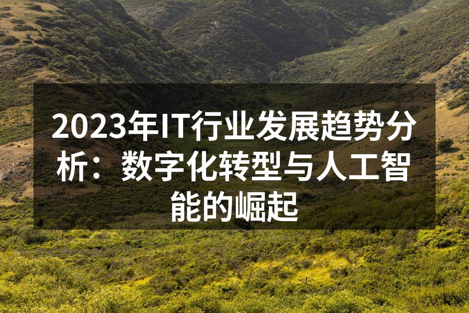 2023年IT行业发展趋势分析：数字化转