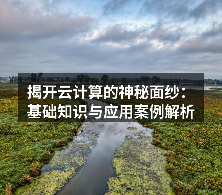 揭开云计算的神秘面纱：基础知识与应用案例